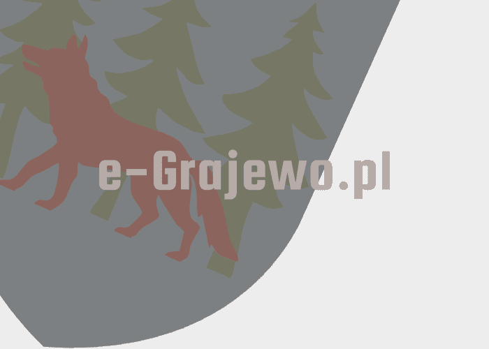 Grajewo ogłoszenia: Sprzedam smartfon Ulefone 25t pro za 1000 zł 506308114